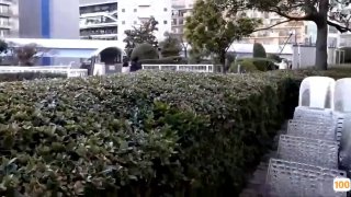 日韩AV电影网优➕国产免费av小说